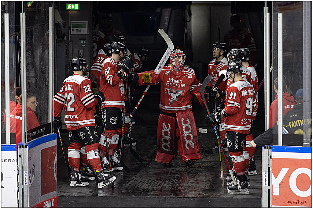 PENNY DEL;  Koelner Haie - Bietigheim Steelers; Koeln, 22.01.2023